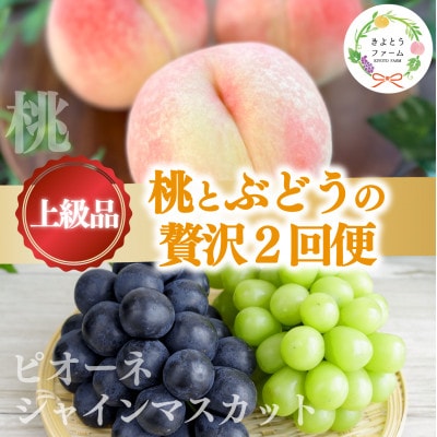 【発送月固定定期便】【2026年先行予約】桃とピオーネ＆シャインマスカット贅沢2回便(岡山産)全2回【配送不可地域：離島・北海道・沖縄県】