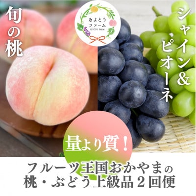 【発送月固定定期便】【2026年先行予約】量より質!桃とピオーネ＆シャインの定期便(岡山県産)全2回【配送不可地域：離島・北海道・沖縄県】