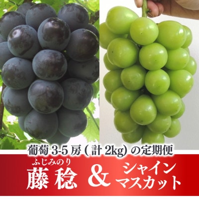 【発送月固定定期便】【2026年先行予約】藤稔とシャインマスカット各2kg入の定期便(岡山産)全2回【配送不可地域：離島】