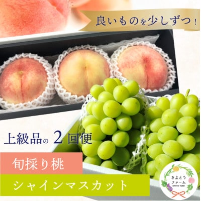 【発送月固定定期便】【2026年先行予約】厳選された大玉桃3玉と大粒シャインマスカット定期便!全2回【配送不可地域：離島】