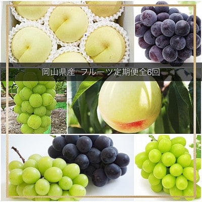 【発送月固定定期便】岡山県産  フルーツ定期便全6回【配送不可地域：離島・北海道・沖縄県】