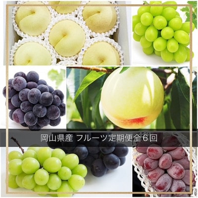 【発送月固定定期便】岡山県産 フルーツ定期便全6回【配送不可地域：離島・北海道・沖縄県】