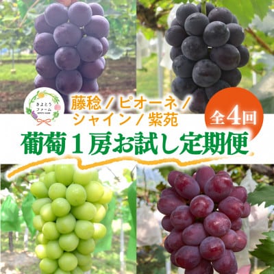 【発送月固定定期便】【2026年先行予約】お試し4回便藤稔・ピオーネ・シャイン・紫苑 /岡山産全4回【配送不可地域：離島】