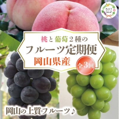 【発送月固定定期便】【2026年先行予約】桃、ピオーネ、シャインマスカット定期便 (岡山県産)全3回【配送不可地域：離島】