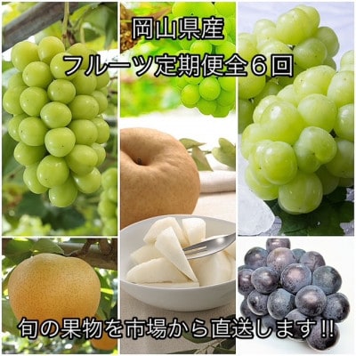 【発送月固定定期便】岡山県産  フルーツ定期便全6回【配送不可地域：離島】