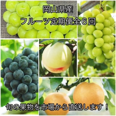 【発送月固定定期便】岡山県産  フルーツ定期便全6回【配送不可地域：離島】
