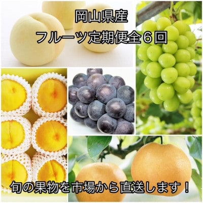 【発送月固定定期便】岡山県産  フルーツ定期便全6回【配送不可地域：離島】