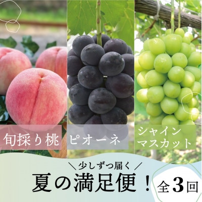 【発送月固定定期便】【2026年先行予約】桃、ピオーネ、シャインマスカットの満足便(岡山県産)全3回【配送不可地域：離島】