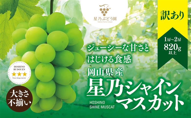 2026発送【訳あり】粒の大きさが不揃い 星乃シャインマスカット 820g 1房～2房【配送不可地域：離島・北海道・沖縄県】