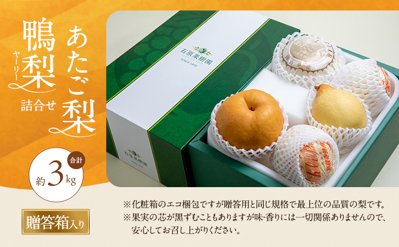 梨 2026年 先行予約 あたご梨・鴨梨（ヤーリー）詰合せ 合計約3kg あたご1～3玉 鴨梨3～5玉 贈答箱 【11月下旬～12月中旬頃発送】ナシ なし 岡山県産 国産 フルーツ 果物 ギフト 石原果樹園