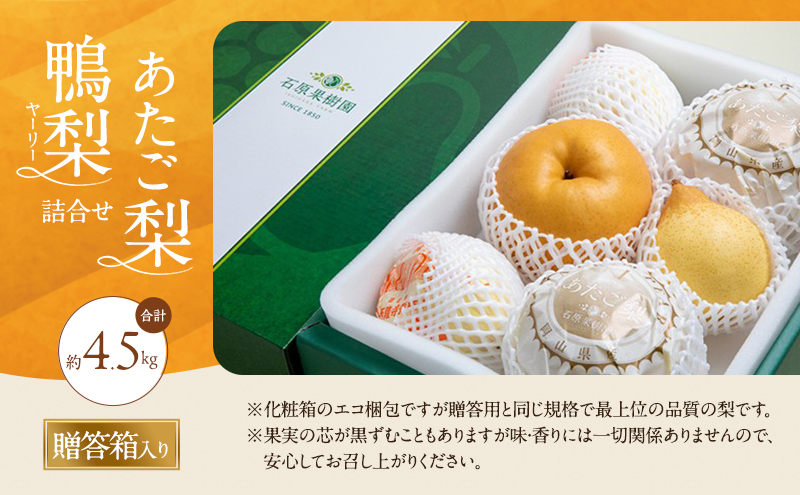 梨 2026年 先行予約 あたご梨・鴨梨（ヤーリー）詰合せ 合計約4.5kg あたご2～3玉 鴨梨3～7玉 贈答箱【11月下旬～12月中旬頃発送】ナシ なし 岡山県産 国産 フルーツ 果物 ギフト 石原果樹園