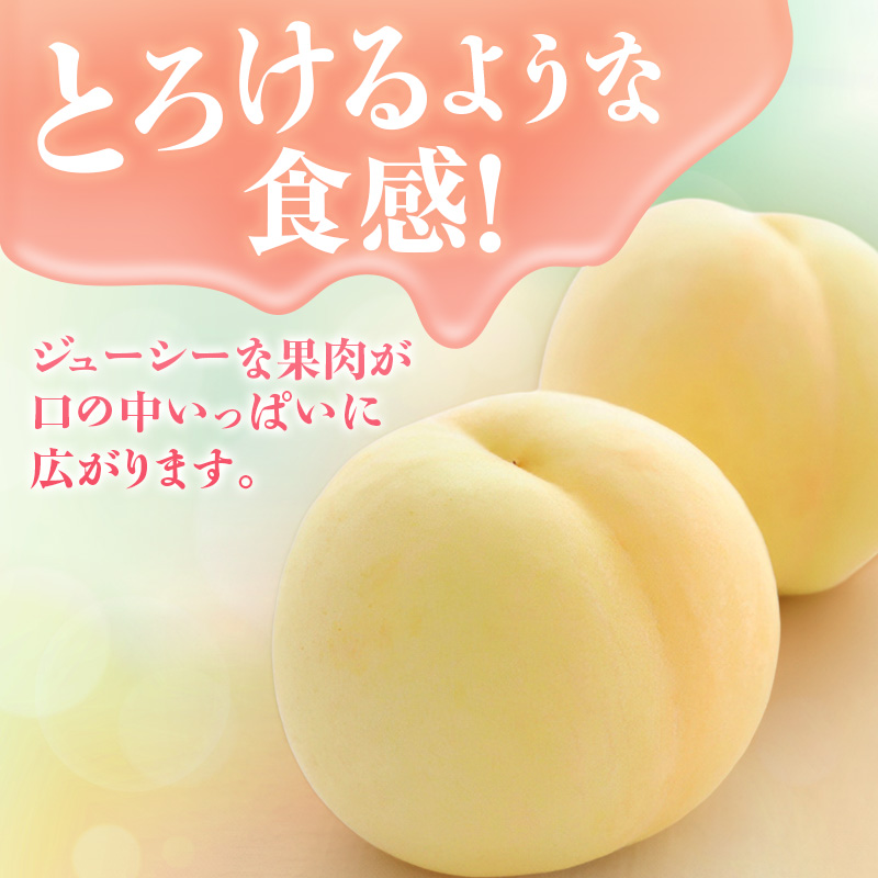 【2026年先行受付】 白桃 特秀 ロイヤル 大玉 約2kg(5～7玉) 岡山県産 桃 もも モモ 御中元 ギフト 御礼 プレゼント 御礼 御祝 御供 果物 くだもの フルーツ