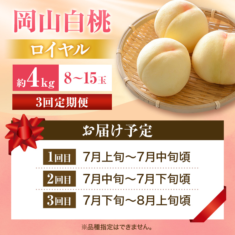 【2026年先行受付】 白桃 3回 定期便 特秀 ロイヤル 大玉 岡山県産 桃 もも モモ 御中元 ギフト 御礼 プレゼント 御礼 御祝 御供 果物 くだもの フルーツ