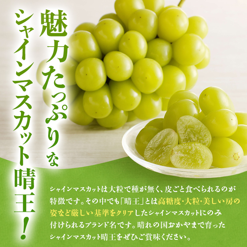 【2026年先行受付】 シャインマスカット 晴王 10回 定期便 秀品 大房 岡山県産 ぶどう ギフト 御礼 プレゼント 御礼 御祝 御供 果物 くだもの フルーツ