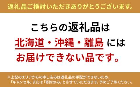 ぶどう 2026年 先行予約 シャイン マスカット 晴王 5房～10房 約4kg ブドウ 葡萄  岡山県産 国産 フルーツ 果物 ギフト シャインマスカット 美しい 大粒 種なし 弾力 高糖度 甘い