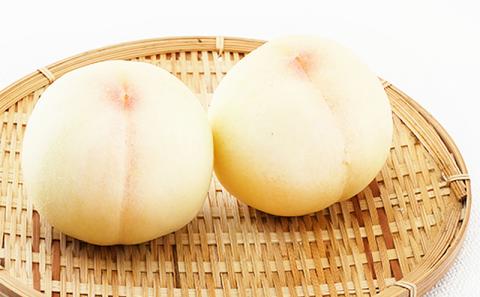 桃 ぶどう 2026年 先行予約 果物詰合せ 白桃 2玉（1玉200g以上） ニュー ピオーネ 2房（合計約940g）化粧箱入り 岡山県産 国産 フルーツ ギフト  もも セット