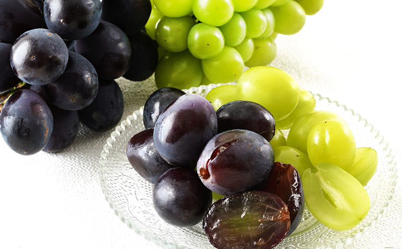 ぶどう 2026年 先行予約 果物 詰合せ ニュー ピオーネ 1房（1房470g以上）シャイン マスカット 晴王 1房（1房470g以上） 化粧箱入り 岡山県産 国産 フルーツ ギフト  果物類