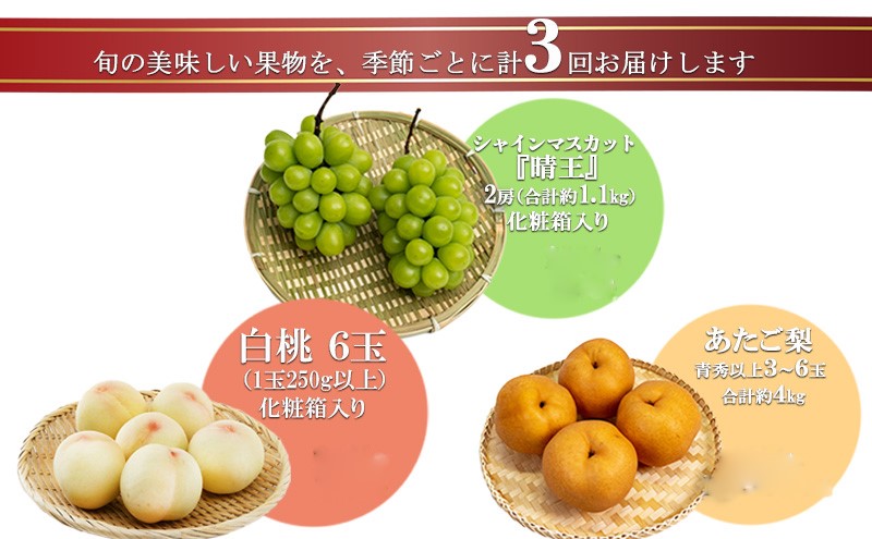 フルーツ 2026年 先行予約 晴れの国 岡山 の フルーツ 定期便 3回コース 桃 ぶどう 梨 岡山県産 国産 フルーツ 果物 ギフト デザート 白桃 シャインマスカット 大玉梨 あたご梨