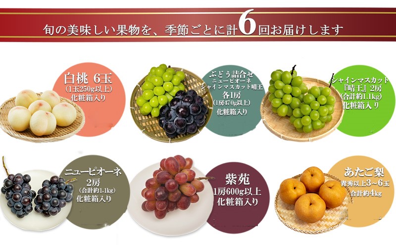 フルーツ 2025年 先行予約 晴れの国 岡山 の フルーツ 定期便 6回コース 桃 ぶどう 梨 岡山県産 国産 フルーツ 果物 ギフト