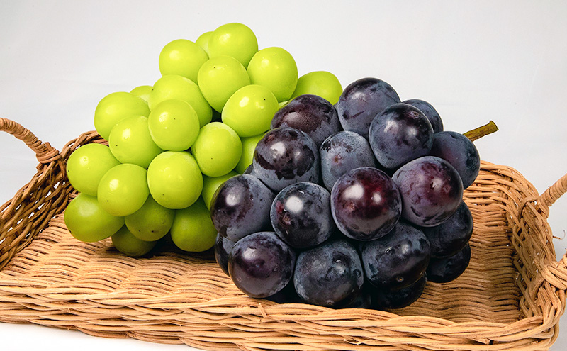 ぶどう 2026年 先行予約 果物 詰合せ ニュー ピオーネ 1房480g以上 シャイン マスカット 晴王 1房 480g以上 化粧箱入り ブドウ 葡萄  岡山県産 国産 フルーツ 果物 ギフト