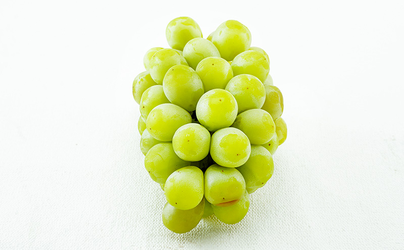 ぶどう 2026年 先行予約 マスカット・オブ・アレキサンドリア 1房 700g以上 化粧箱入り マスカット ブドウ 葡萄 岡山県産 国産 フルーツ 果物 ギフト