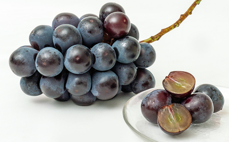 ぶどう 2026年 先行予約 ニュー ピオーネ 2房（1房600g以上）化粧箱入り ブドウ 葡萄 岡山県産 国産 フルーツ 果物 ギフト