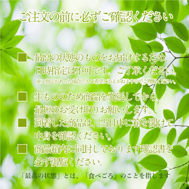 ぶどう 2025年度分 先行予約 【プレミアムシャインマスカット 晴王 1房 約550g】船穂産　赤秀品以上  岡山県産 葡萄 ブドウ ギフト ハレノフルーツ 皮ごと食べる みずみずしい