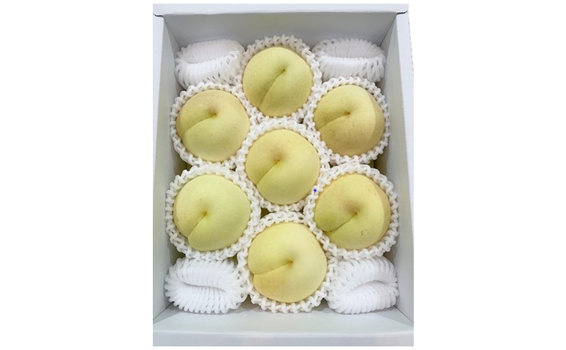 桃 2026年 先行予約 冬桃がたり6～9玉（約1.3kg）化粧箱入り もも モモ 岡山県産 国産 フルーツ 果物 セット ギフト