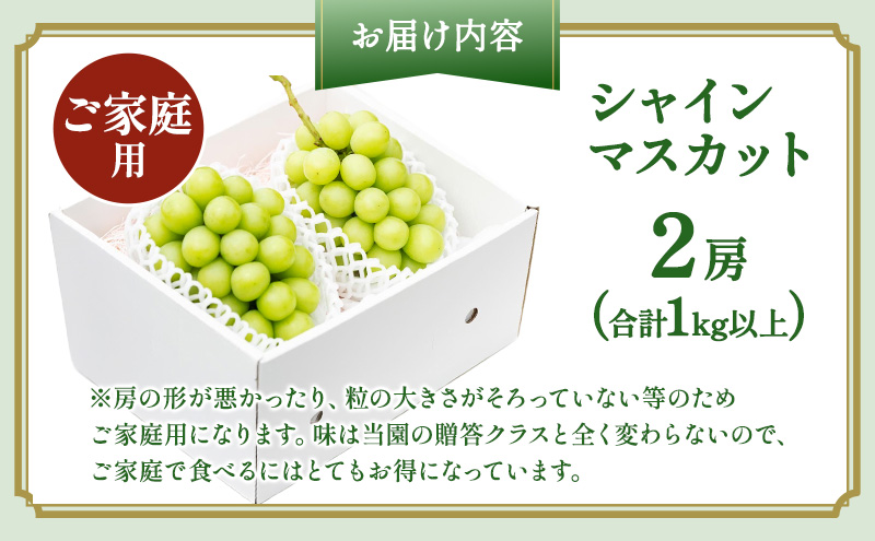 ぶどう 2026年 先行予約 ［ご家庭用］ シャイン マスカット 2房（合計1kg以上）  ブドウ 葡萄  岡山県産 国産 フルーツ 果物 OEC KINGDOM ぶどう家 果物類