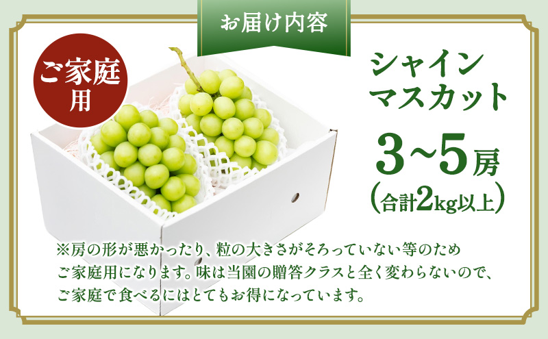 ぶどう 2026年 先行予約 ［ご家庭用］ シャイン マスカット3～5房（合計2kg以上） ブドウ 葡萄  岡山県産 国産 フルーツ 果物 OEC KINGDOM ぶどう家 果物類