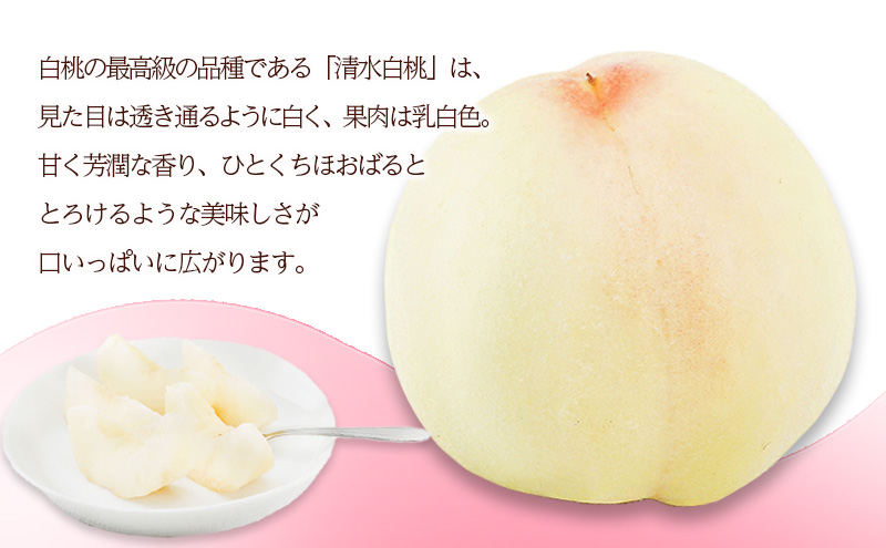 桃 2026年 先行予約 清水 白桃 8玉（1玉200g以上）化粧箱入り もも モモ 岡山県産 国産 フルーツ 果物 ギフト