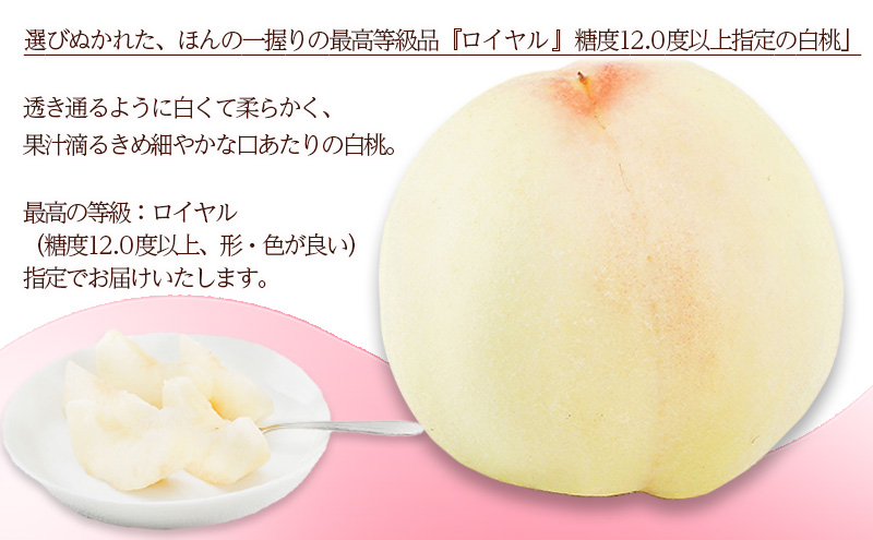 桃 2026年 先行予約 白桃 6玉（1玉300g以上）等級： ロイヤル 化粧箱入り もも モモ 岡山県産 国産 フルーツ 果物 ギフト  最高等級品 糖度12.0度以上 芳潤な香り贈答用 果汁滴る