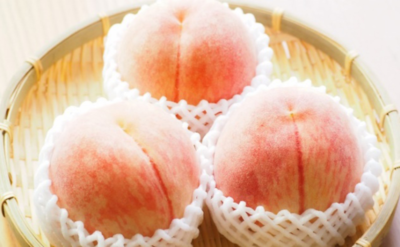 桃 2026年 先行予約 特選 岡山の白桃 7～9玉 約2kg 早生種 もも モモ 岡山県産 国産 フルーツ 果物 ギフト いろは堂