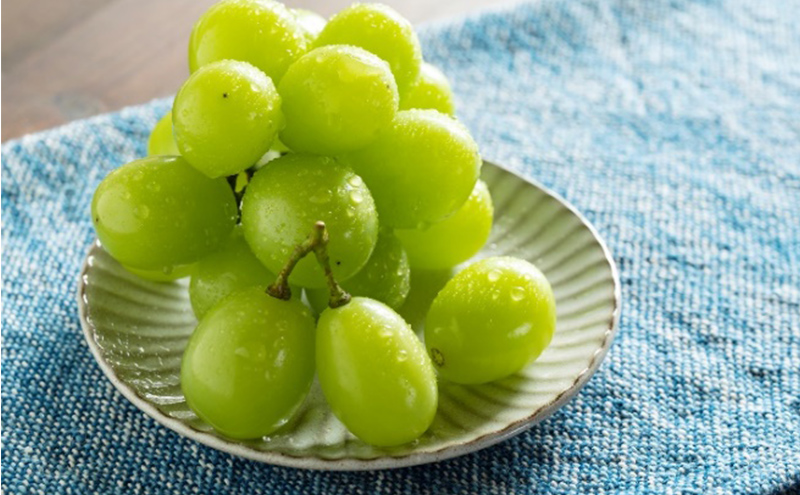 ぶどう 2026年 先行予約 特選 シャイン マスカット 晴王 1房 約700g ブドウ 葡萄 岡山県産 国産 フルーツ 果物 ギフト いろは堂