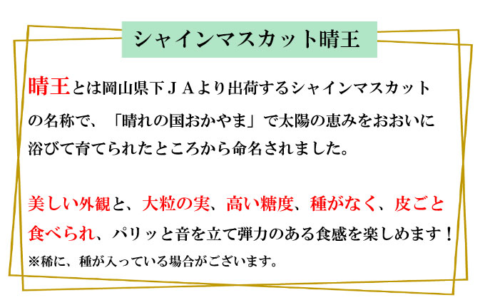 ぶどう 2026年 先行予約 シャイン マスカット 晴王 約2kg 3～6房 種無し ブドウ 葡萄  岡山県産 国産 フルーツ 果物 ギフト