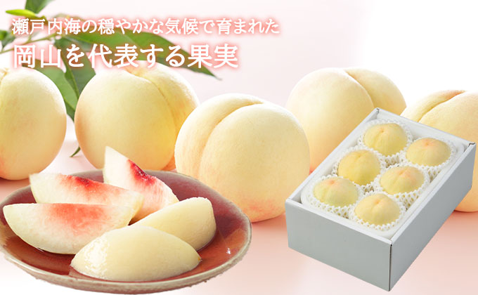 桃 2026年 先行予約 岡山 白桃 ロイヤル 4～8玉 1.2kg 岡山県産 JAおかやまのもも モモ 岡山県産 国産 フルーツ 果物 ギフト