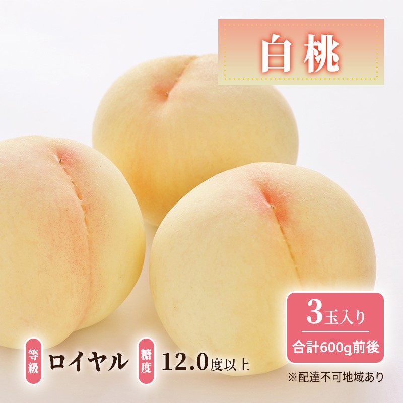 先行予約 晴れの国 岡山のフルーツ 定期便 2回コース 1回目ロイヤル白桃3玉 合計約600g／2回目冬桃がたり3個 合計約600g