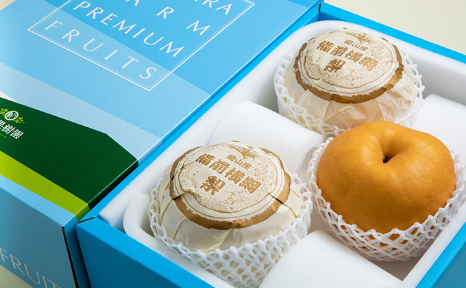 梨 2025年 先行予約 備前横綱梨（あたご梨）3玉（1玉1～1.4kg）贈答箱 【11月下旬～12月中旬頃発送】ナシ なし 岡山県産 国産 フルーツ 果物 ギフト 石原果樹園