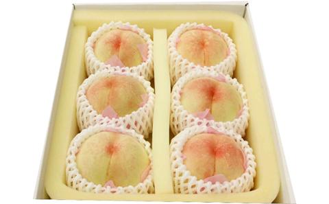 桃 2026年 先行予約 特選 岡山の白桃 4～6玉 1.5k箱（正味内容量1.3kg以上）晩生種 もも モモ 岡山県産 国産 フルーツ 果物 ギフト