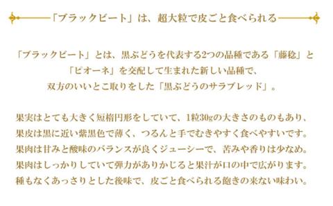 ぶどう 2026年 先行予約 ブラックビート 約600g×2房  ブドウ 葡萄  岡山県産 国産 フルーツ 果物 ギフト 岡山のブドウ デザート 食べ物 日本産