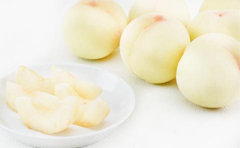 フルーツ 2025年 先行予約 晴れの国 岡山 の フルーツ 定期便 6回コース 桃 ぶどう 梨 岡山県産 国産 フルーツ 果物 ギフト