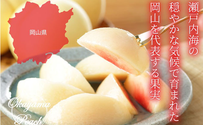 桃 2026年 先行予約 岡山 白桃 ロイヤル 5～10玉 約1.8kg JA おか