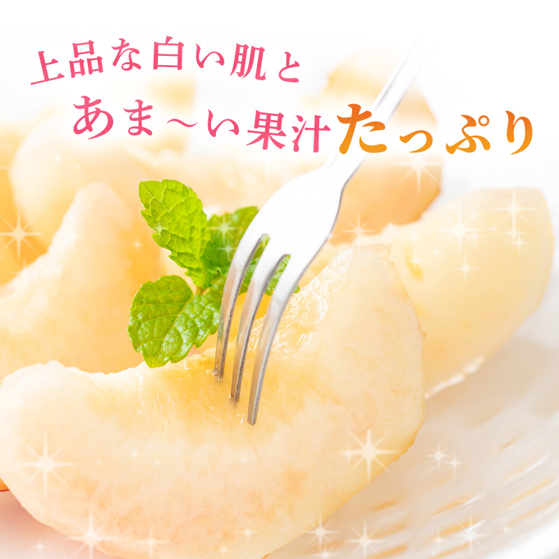 桃 2026年 先行予約 ご家庭用 白桃（晩生種）5～6玉 合計約1.5kg もも モモ 岡山県産 国産 フルーツ 果物 ギフト