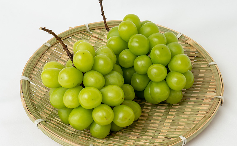 ぶどう 2026年 先行予約 シャイン マスカット 晴王 2房（合計約1.1kg）化粧箱入り マスカット ブドウ 葡萄  岡山県産 国産 フルーツ 果物 ギフト 果物類 大粒 1.1kg