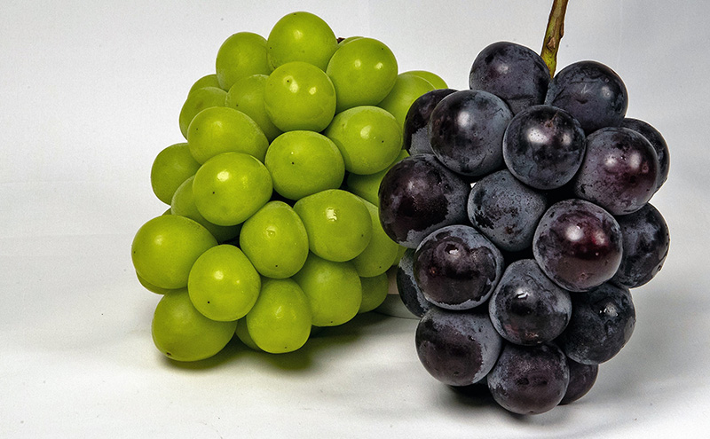 ぶどう 2026年 先行予約 果物 詰合せ ニュー ピオーネ 1房（1房470g以上）シャイン マスカット 晴王 1房（1房470g以上） 化粧箱入り 岡山県産 国産 フルーツ ギフト  果物類