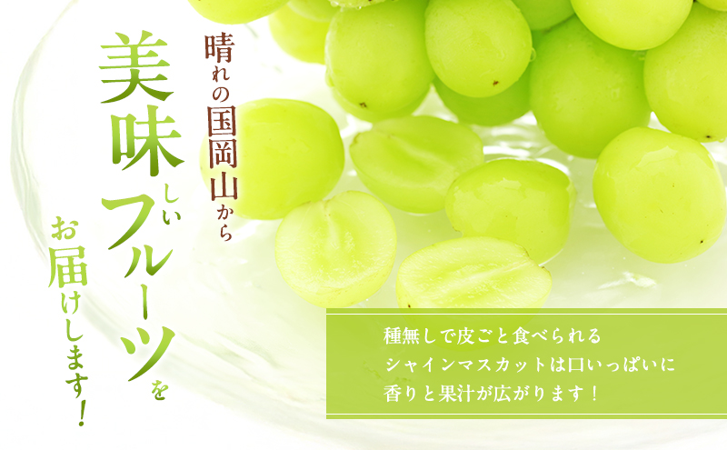 ぶどう 2026年 先行予約 ご家庭用 シャインマスカット 2～3房 約1.2kg ブドウ 葡萄 岡山県産 国産 フルーツ 果物 直送！せとうちバスケット 種なし 大粒 産地直送 デザート