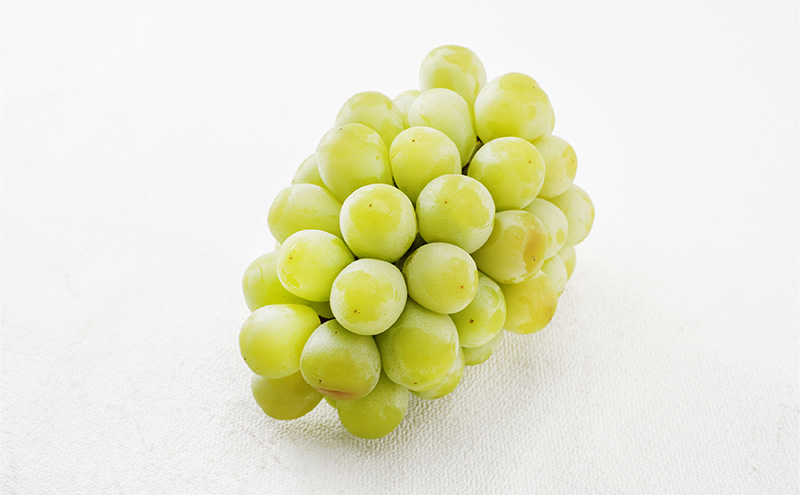 ぶどう 2026年 先行予約 マスカット・オブ・アレキサンドリア 特秀品 1房（1房700g以上）化粧箱入り 葡萄  岡山県産 国産 フルーツ ギフト 果物 食後 デザート 高級ぶどう 爽やか