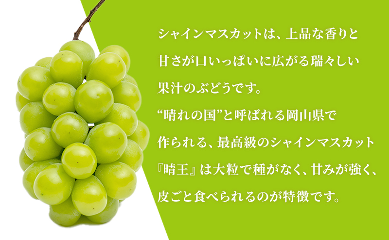 ぶどう 2026年 先行予約 晴れの国 岡山の シャイン マスカット 晴王 定期便 2回（各1房600g以上） 葡萄  岡山県産 国産 フルーツ ギフト 大粒 種なし 甘みが強い 皮ごと食べられる