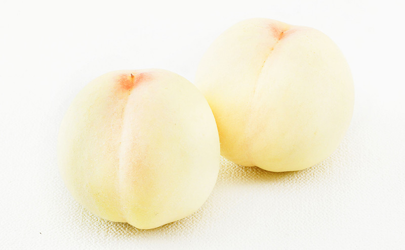 桃 ぶどう 2026年 先行予約 果物 詰合せ 白桃 2玉（1玉220g以上）ニューピオーネ 2房（1房480g以上）化粧箱入り もも 葡萄 岡山県産 国産 フルーツ 果物 ギフト