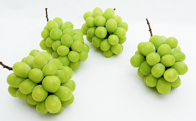 ぶどう 2026年 先行予約 シャイン マスカット 晴王 4房（1房480g以上）約2kg マスカット ブドウ 葡萄 岡山県産 国産 フルーツ 果物 ギフト 果物類 ぶどう